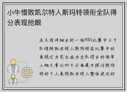 小牛惜败凯尔特人斯玛特领衔全队得分表现抢眼