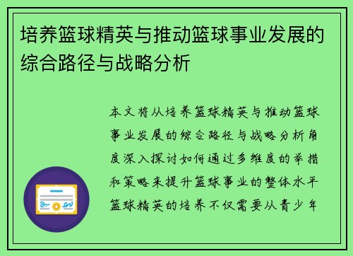 培养篮球精英与推动篮球事业发展的综合路径与战略分析